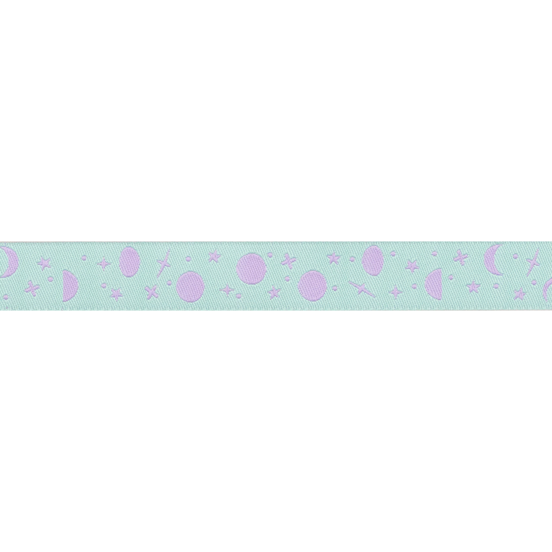 True Colors 2025 - Space Sprinkles in Frozen Berry - 5/8" width - by Tula Pink - 15 Yard Spool