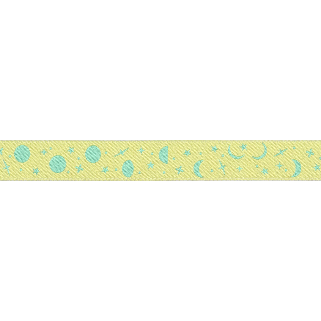 True Colors 2025 - Space Sprinkles in Sea Glass - 5/8" width - by Tula Pink - 15 Yard Spool