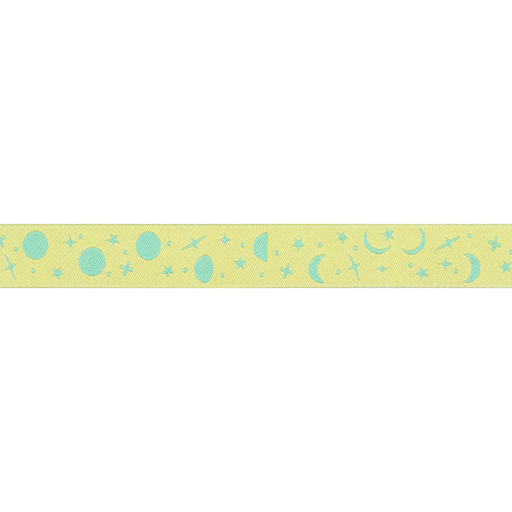 True Colors 2025 - Space Sprinkles in Sea Glass - 5/8" width - by Tula Pink - 15 Yard Spool