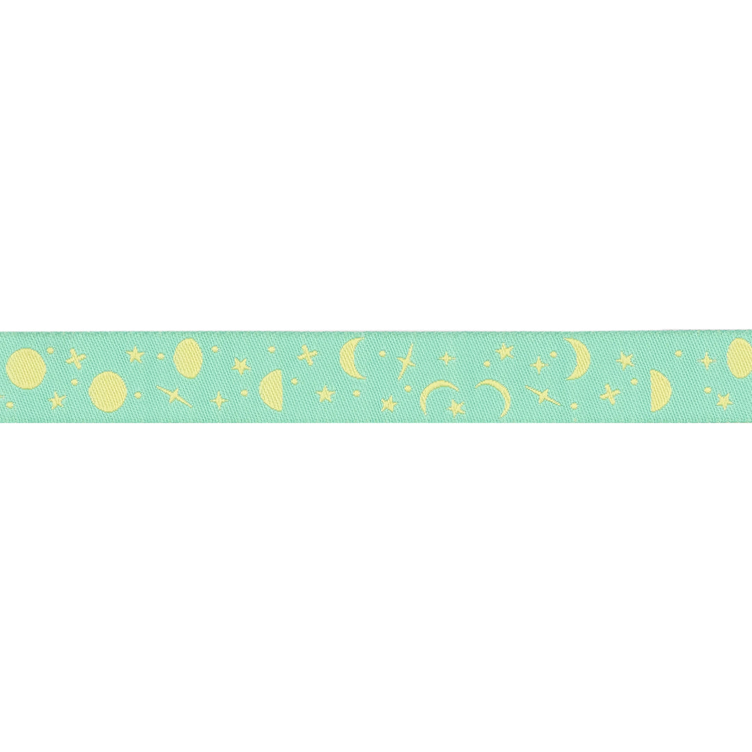 True Colors 2025 - Space Sprinkles in Sea Glass - 5/8" width - by Tula Pink - 15 Yard Spool
