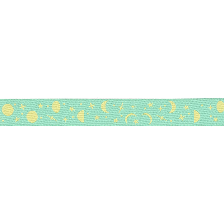 True Colors 2025 - Space Sprinkles in Sea Glass - 5/8" width - by Tula Pink - 15 Yard Spool