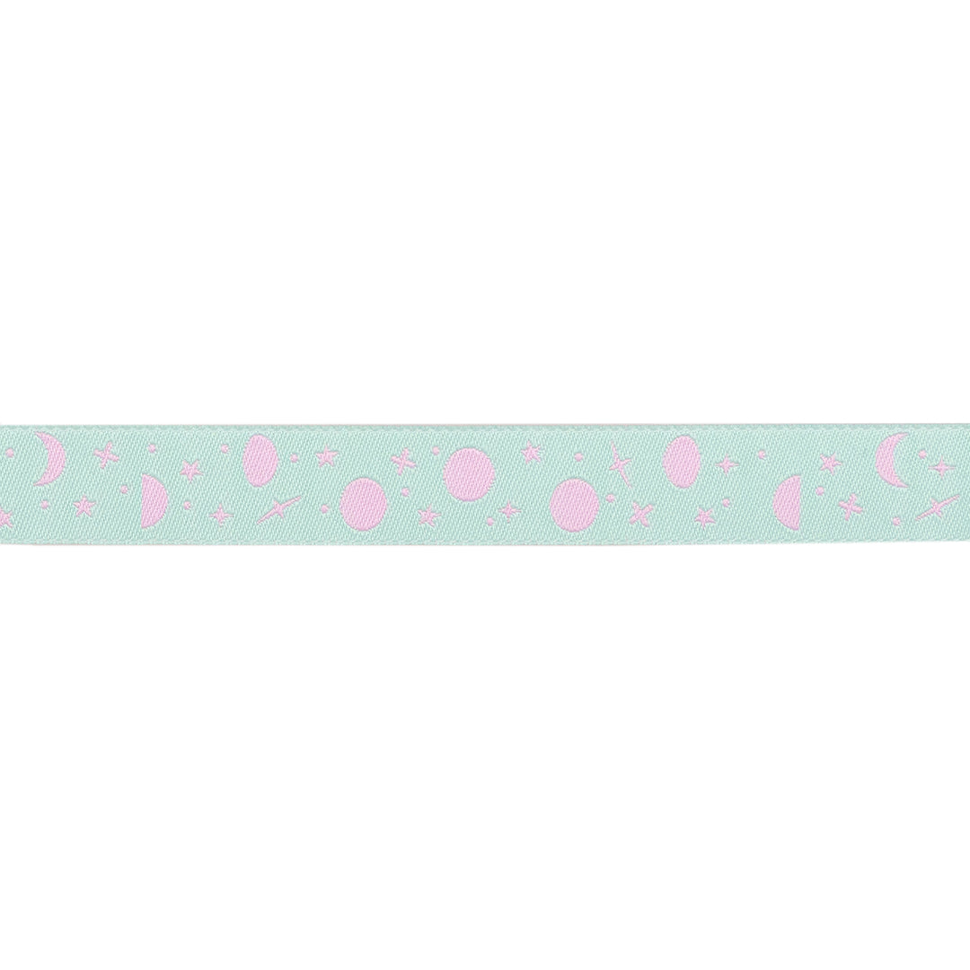 True Colors 2025 - Space Sprinkles in Piglet - 5/8" width - by Tula Pink - 15 Yard Spool