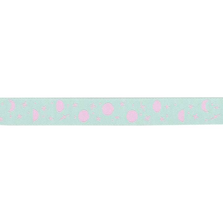 True Colors 2025 - Space Sprinkles in Piglet - 5/8" width - by Tula Pink - 15 Yard Spool