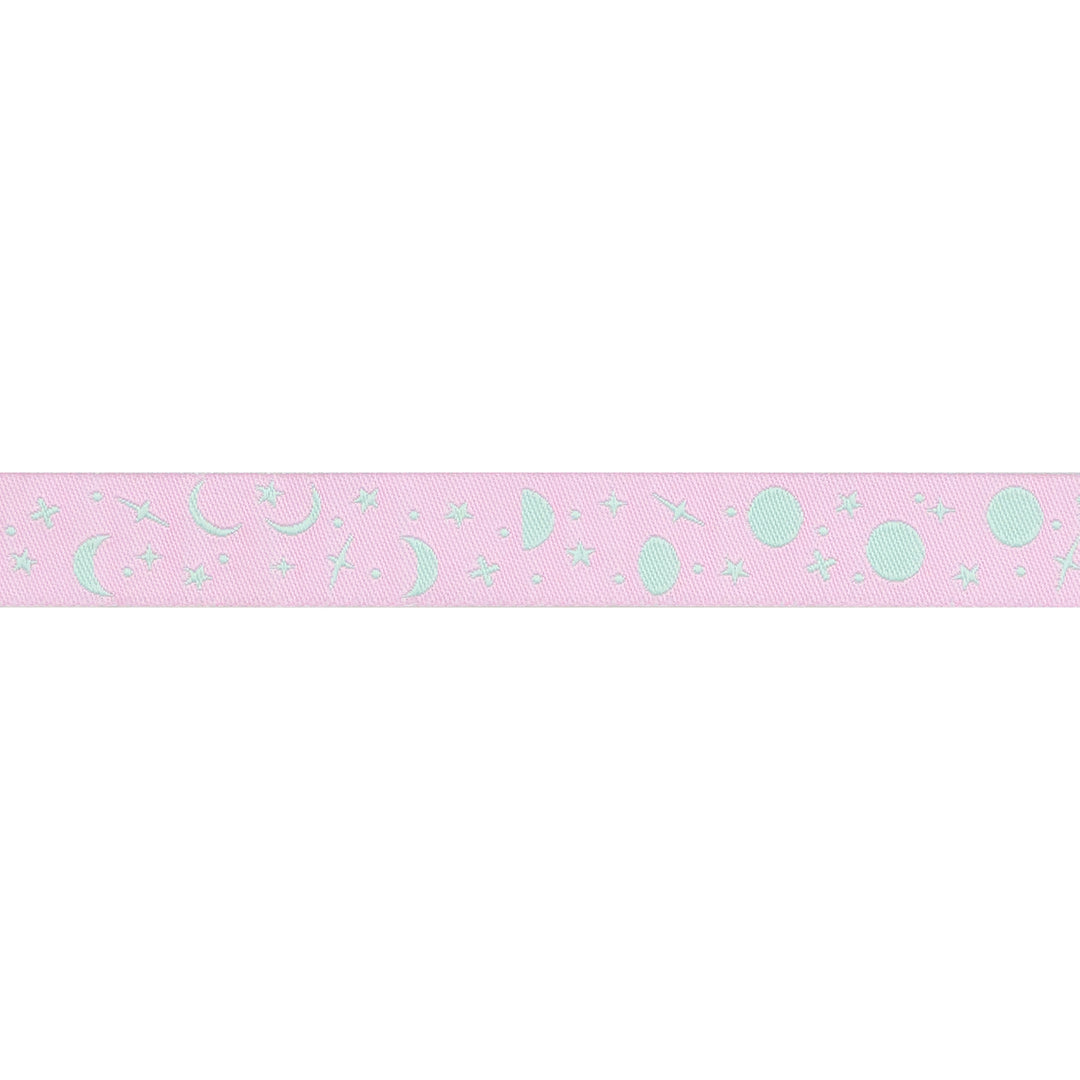 True Colors 2025 - Space Sprinkles in Piglet - 5/8" width - by Tula Pink - 15 Yard Spool