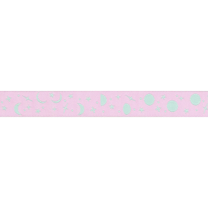 True Colors 2025 - Space Sprinkles in Piglet - 5/8" width - by Tula Pink - 15 Yard Spool