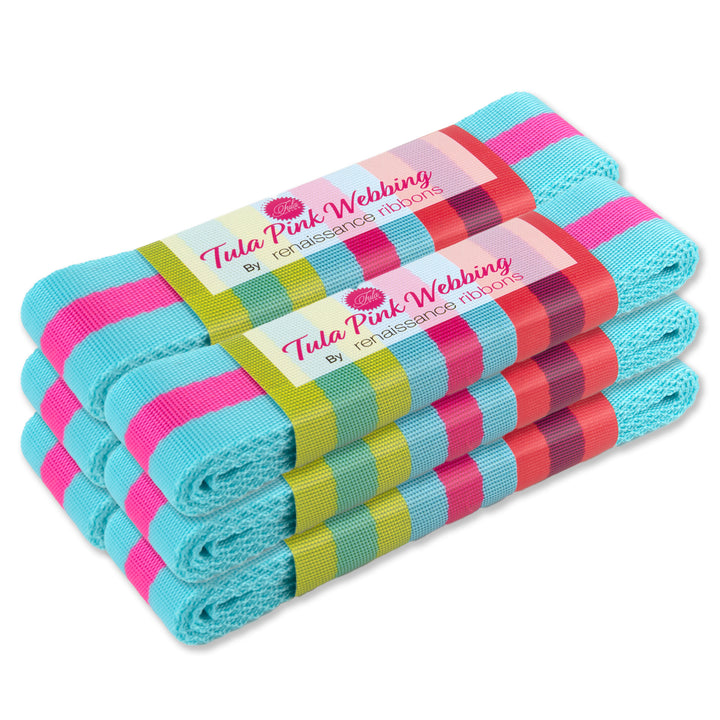 2yd Aqua and Hot Pink - 1.5" Nylon Webbing - by Tula Pink - PRO 6pk