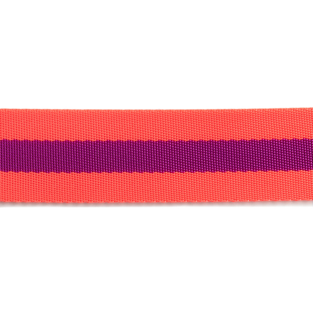 2yd Watermelon and Plum - 1.5" Nylon Webbing - by Tula Pink - PRO 6pk
