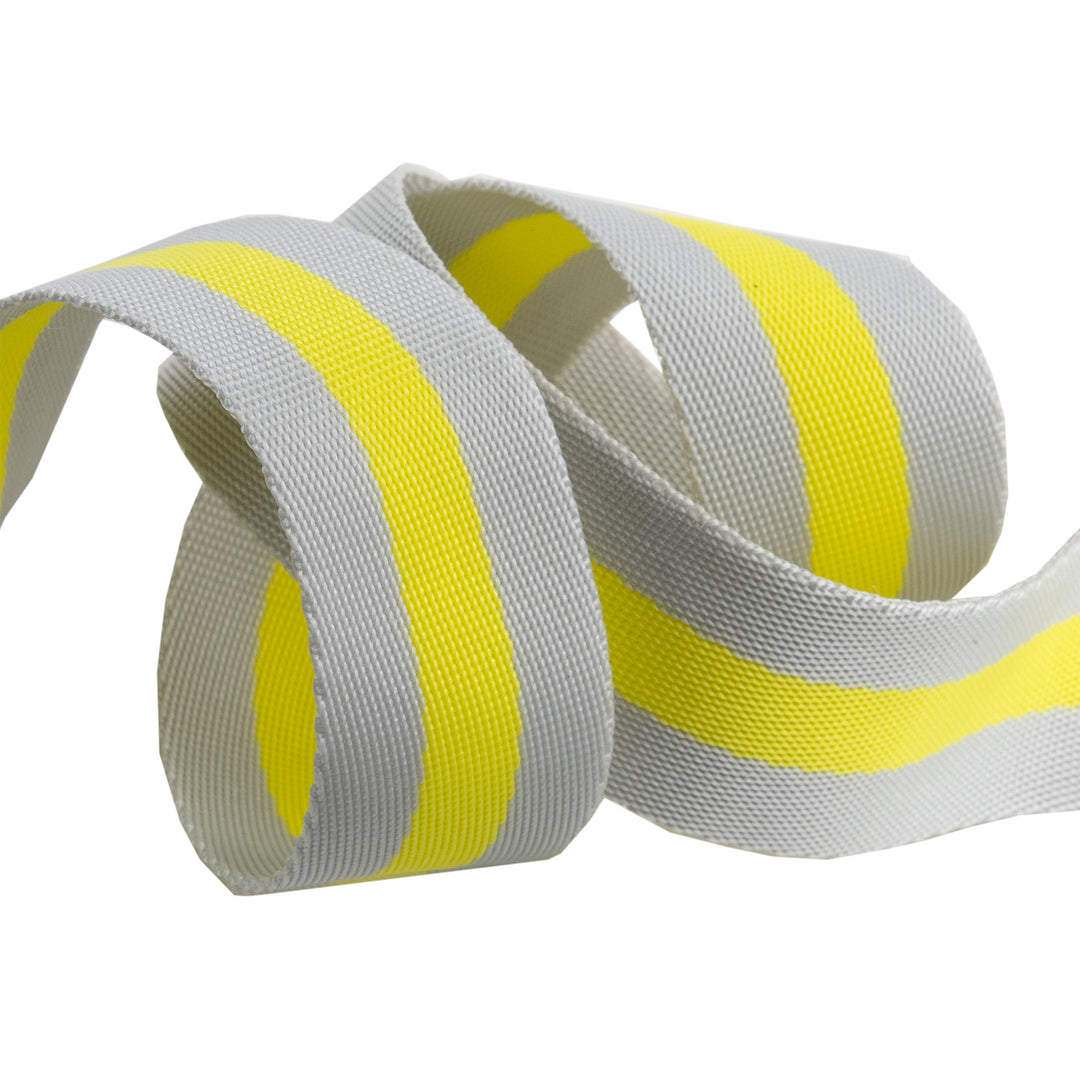 2yd Soft Grey and Neon - 1.5" Nylon Webbing - by Tula Pink - PRO 6pk