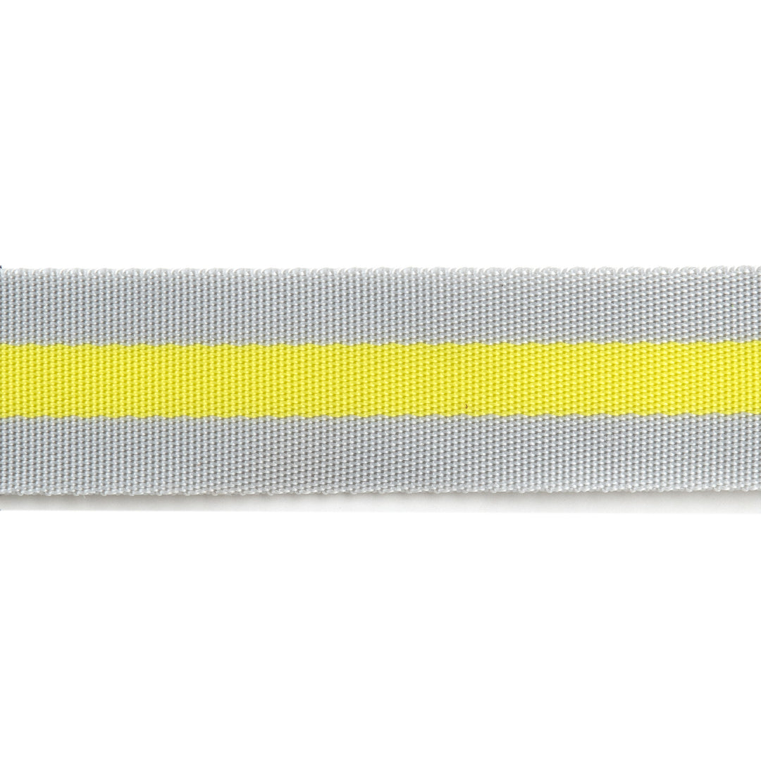 2yd Soft Grey and Neon - 1.5" Nylon Webbing - by Tula Pink - PRO 6pk