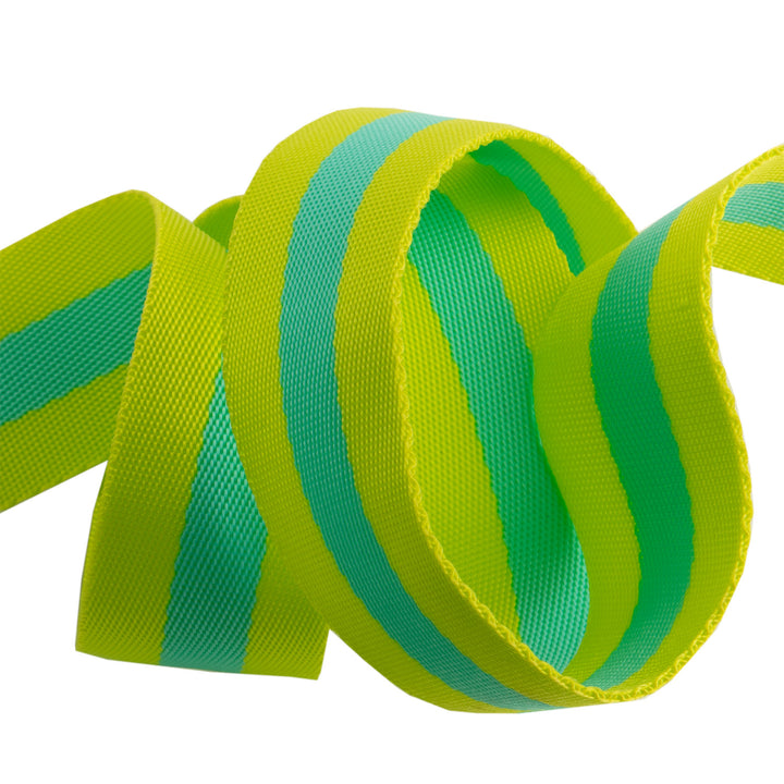 2yd Lime and Turquoise - 1.5" Nylon Webbing - by Tula Pink PRO 6 pk