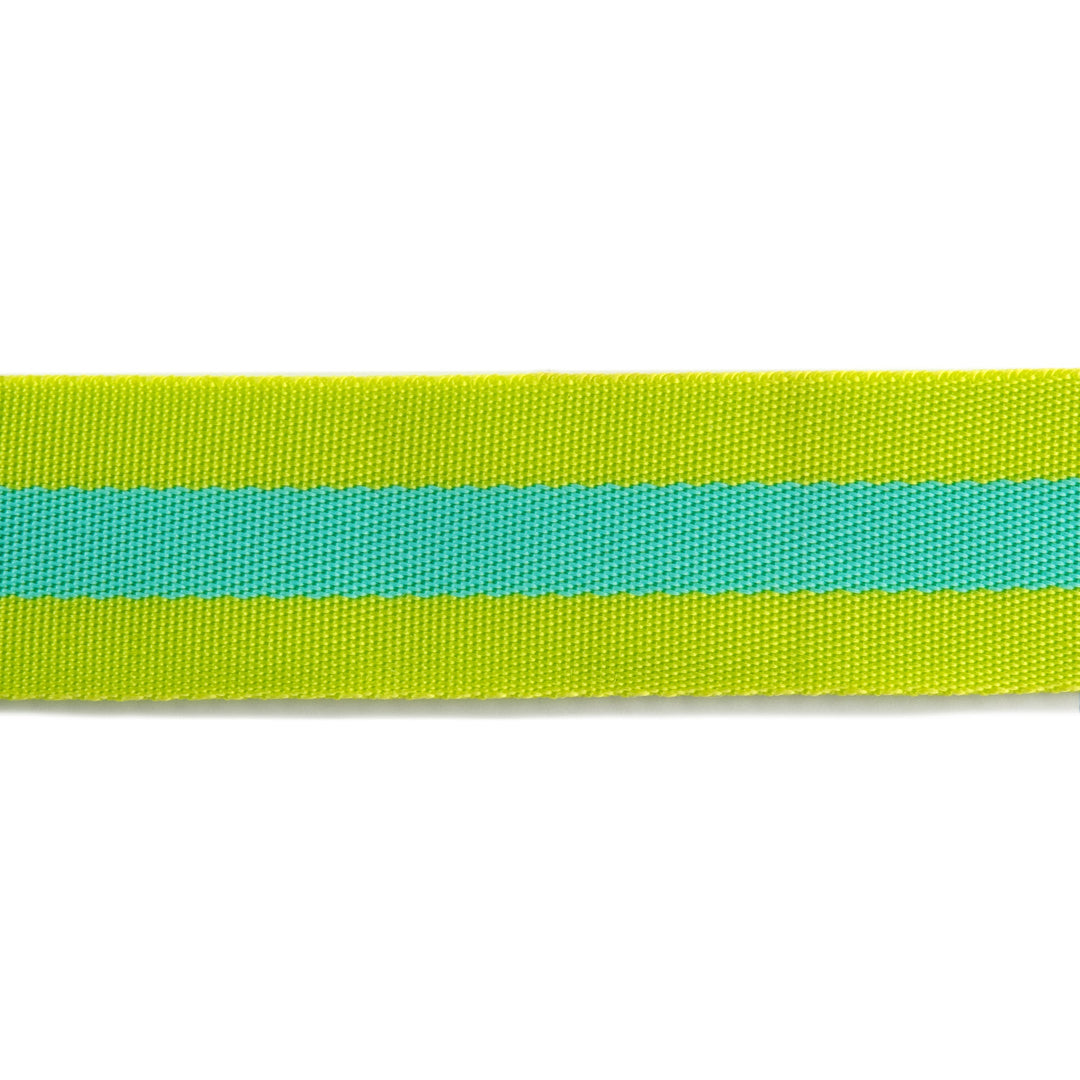 2yd Lime and Turquoise - 1.5" Nylon Webbing - by Tula Pink PRO 6 pk
