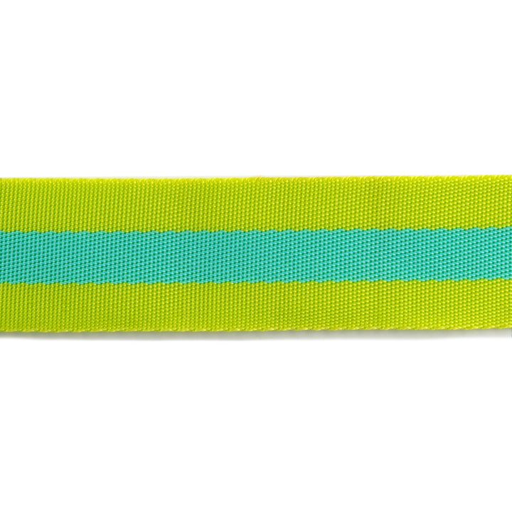 2yd Lime and Turquoise - 1.5" Nylon Webbing - by Tula Pink PRO 6 pk