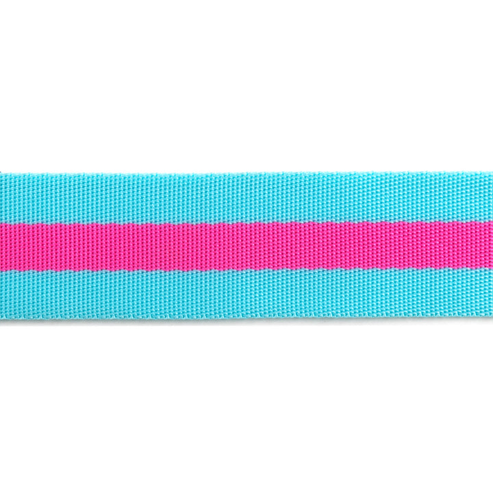 Aqua and Hot Pink - 1.5" Nylon Webbing - by Tula Pink - 16 Yard Spool