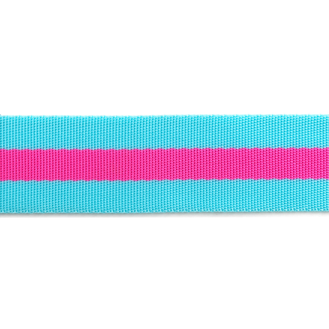 2yd Aqua and Hot Pink - 1.5" Nylon Webbing - by Tula Pink - PRO 6pk