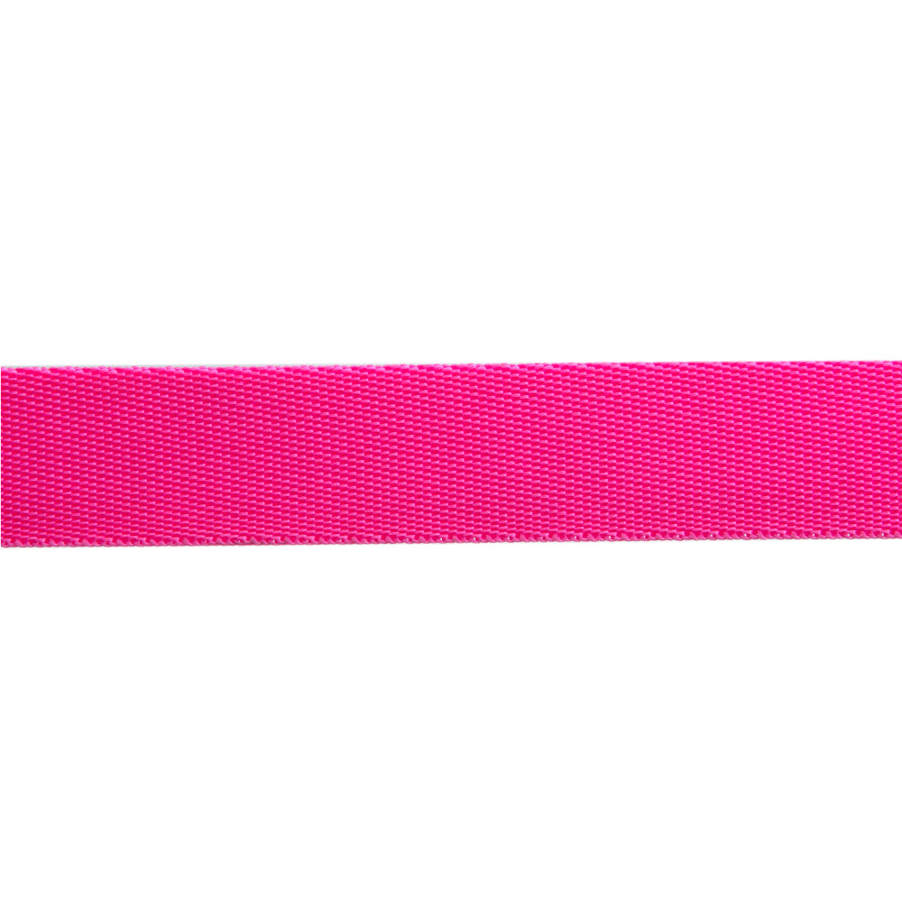 Cosmic/Pink - 1" Nylon Webbing - by Tula Pink - 16 Yard Spool