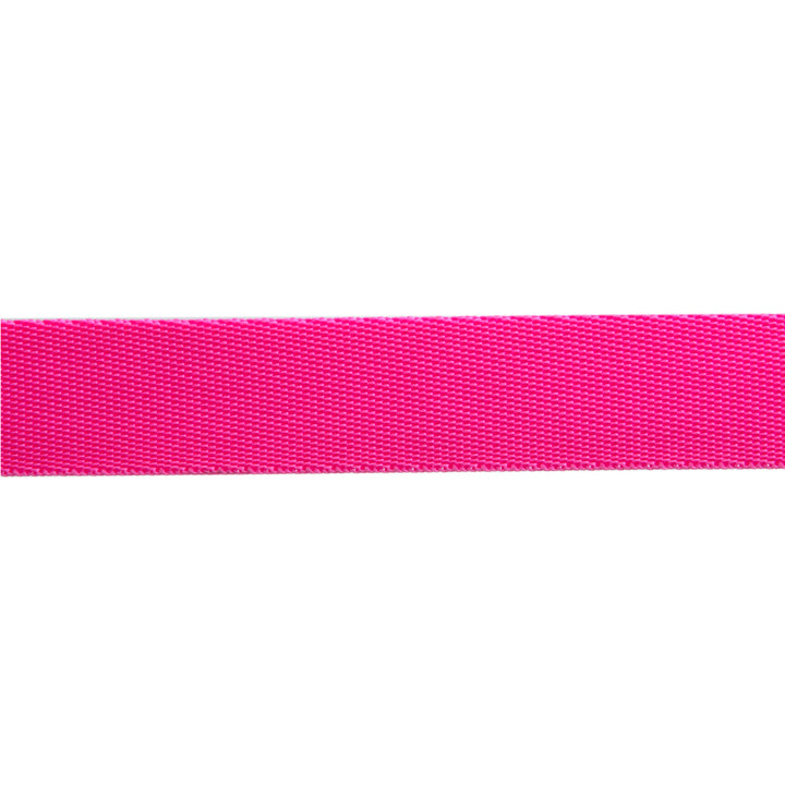 Cosmic/Pink - 1" Nylon Webbing - by Tula Pink - 16 Yard Spool