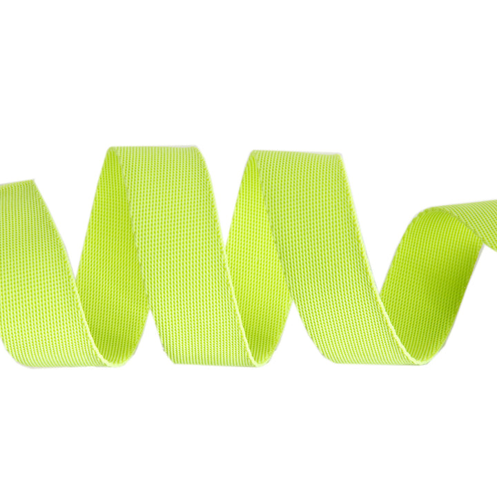 MoonBeam/Neon - 1" Nylon Webbing - by Tula Pink - 16 Yard Spool
