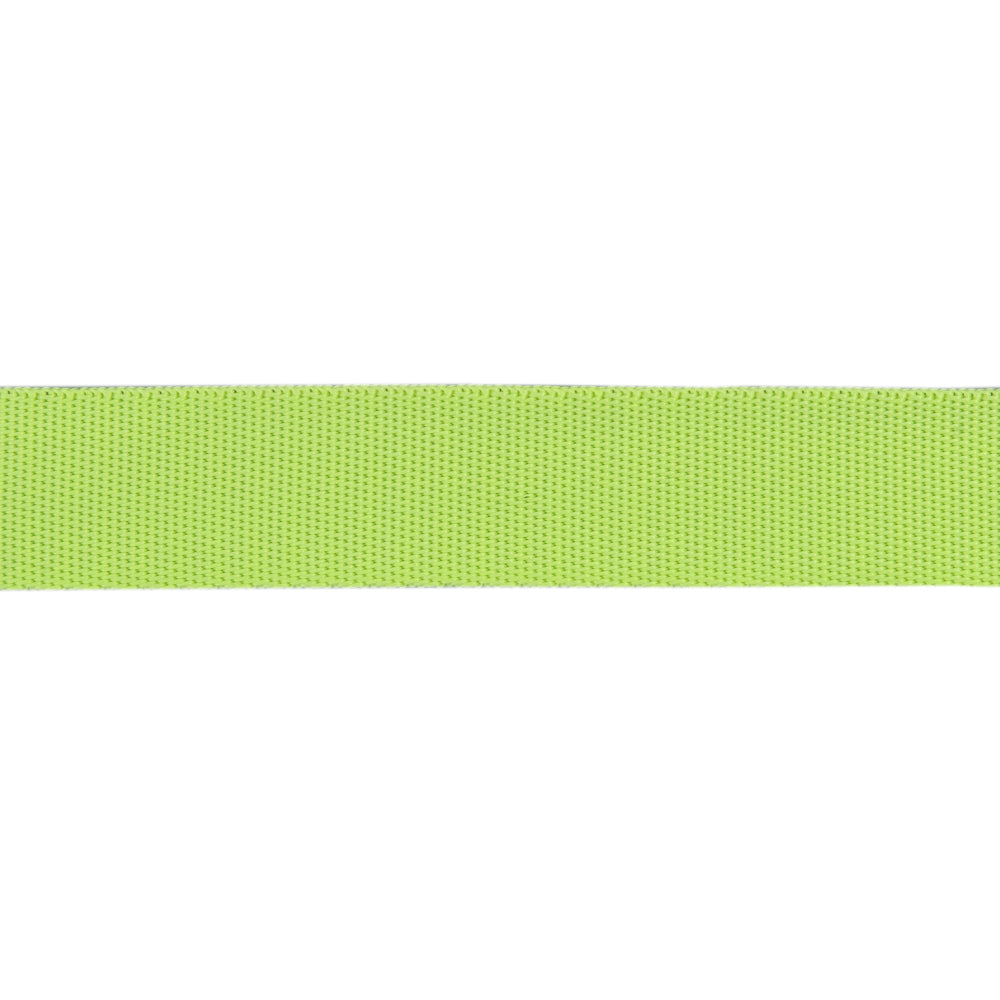 MoonBeam/Neon - 1" Nylon Webbing - by Tula Pink - 16 Yard Spool
