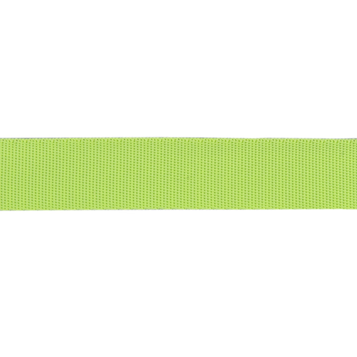 MoonBeam/Neon - 1" Nylon Webbing - by Tula Pink - 16 Yard Spool