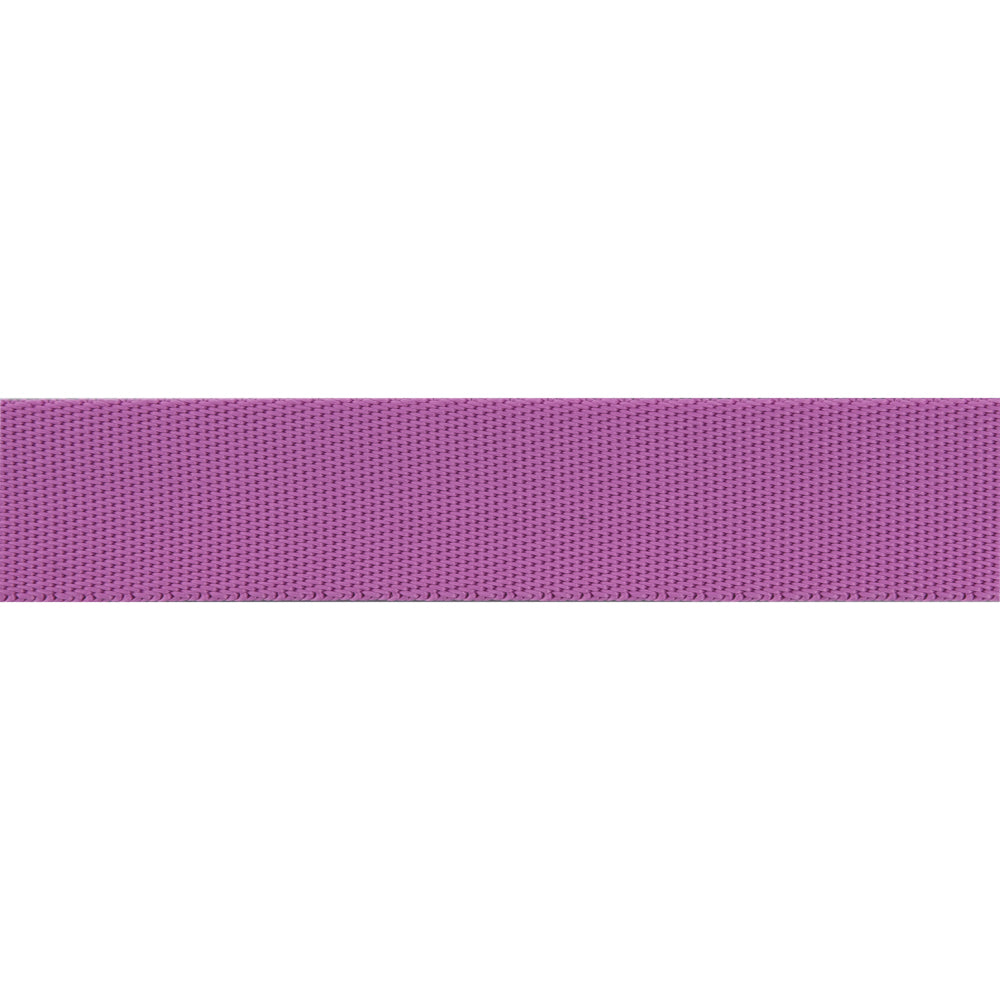 Mystic/Purple - 1" Nylon Webbing - by Tula Pink - 16 Yard Spool