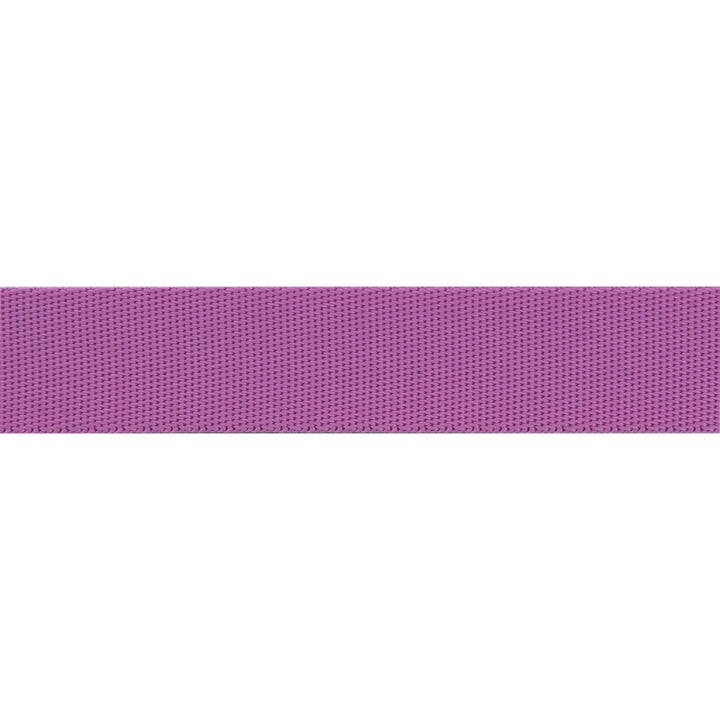 Mystic/Purple - 1" Nylon Webbing - by Tula Pink - 16 Yard Spool
