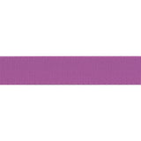 Mystic/Purple 1" EverGlow Webbing-Tula Pink - by the spool