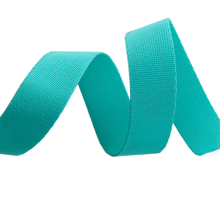 Spirit/Teal - 1" Nylon Webbing - by Tula Pink - 16 Yard Spool