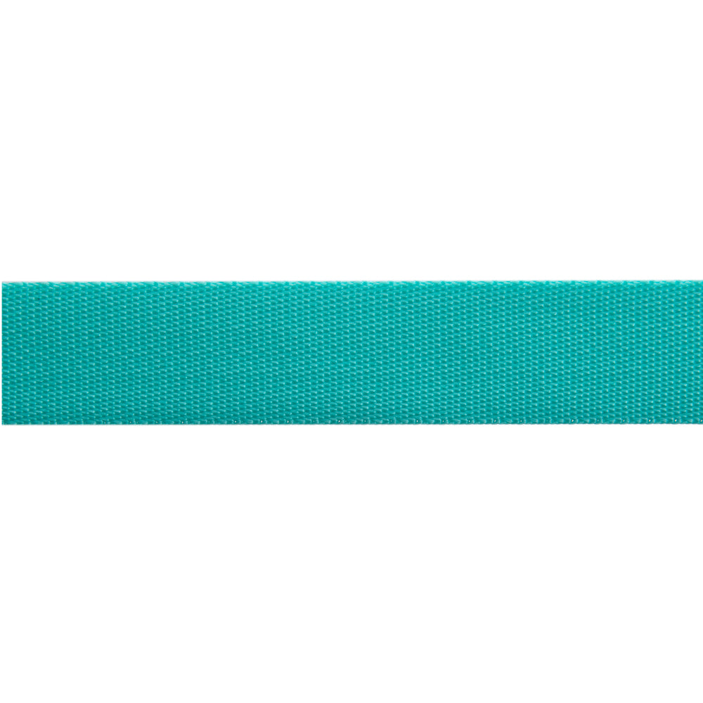 Spirit/Teal - 1" Nylon Webbing - by Tula Pink - 16 Yard Spool