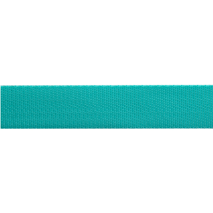 Spirit/Teal - 1" Nylon Webbing - by Tula Pink - 16 Yard Spool