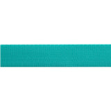 Spirit/Teal 1" EverGlow Webbing-Tula Pink - by the spool