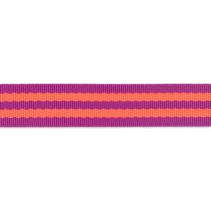 2yd Watermelon/Plum - 1" Nylon Webbing - by Tula Pink - PRO 6PK