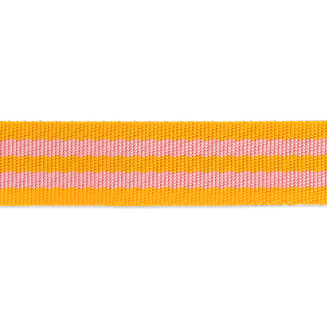 2yd Pink/Orange - 1" Nylon Webbing - by Tula Pink - PRO 6PK