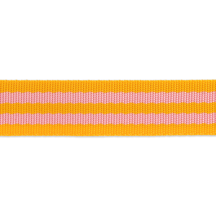 2yd Pink/Orange - 1" Nylon Webbing - by Tula Pink - PRO 6PK