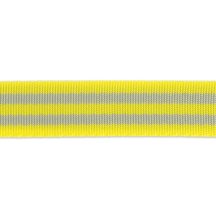 2yd Grey/Neon Yellow - 1" Nylon Webbing - by Tula Pink - PRO 6PK