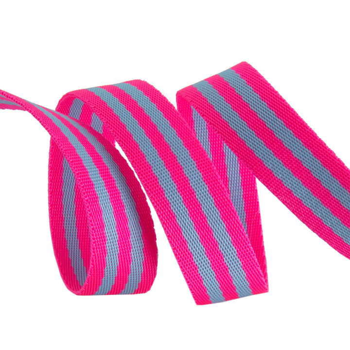 Aqua/Hot Pink - 1" Nylon Webbing - by Tula Pink - 16 Yard Spool