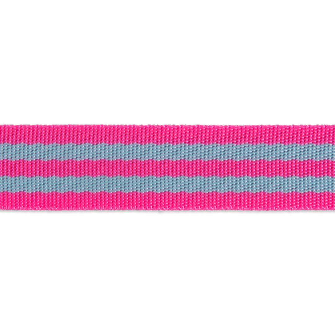 Aqua/Hot Pink - 1" Nylon Webbing - by Tula Pink - 16 Yard Spool