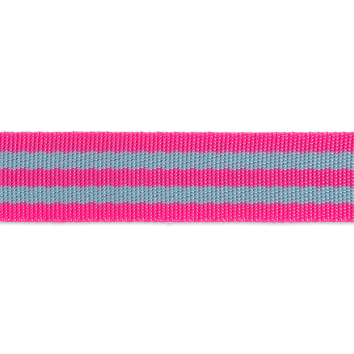 Aqua/Hot Pink - 1" Nylon Webbing - by Tula Pink - 16 Yard Spool