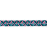 Pink & Teal Positive Direction- 5/8" by Amy Butler