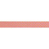 Dots Flare 5/8"-Tula Pink Strips and Dots