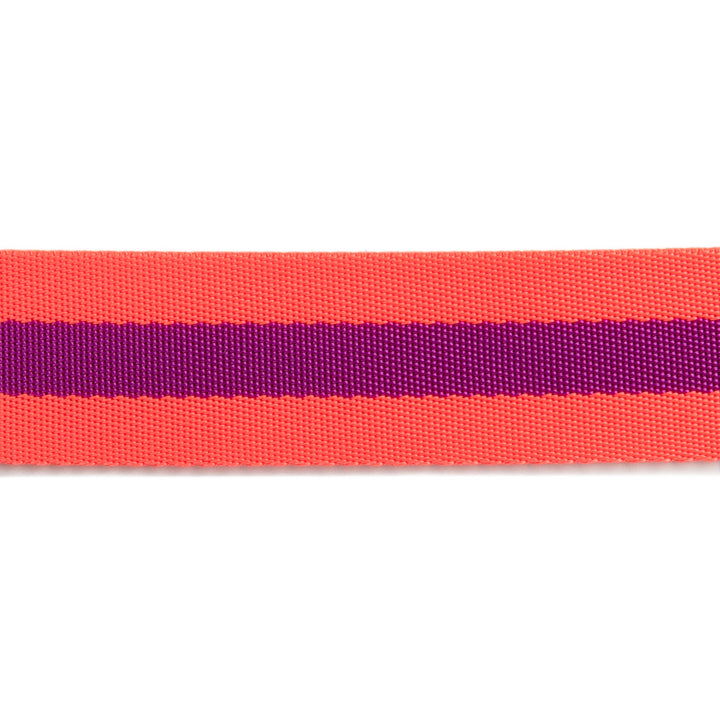 Watermelon and Plum - 1.5" Nylon Webbing - by Tula Pink - 16 Yard Spool