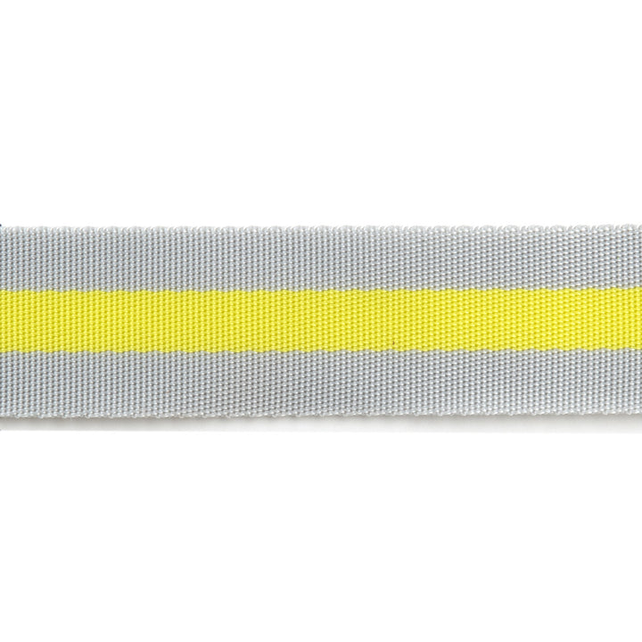 Soft Grey and Neon - 1.5" Nylon Webbing - by Tula Pink - 16 Yard Spool