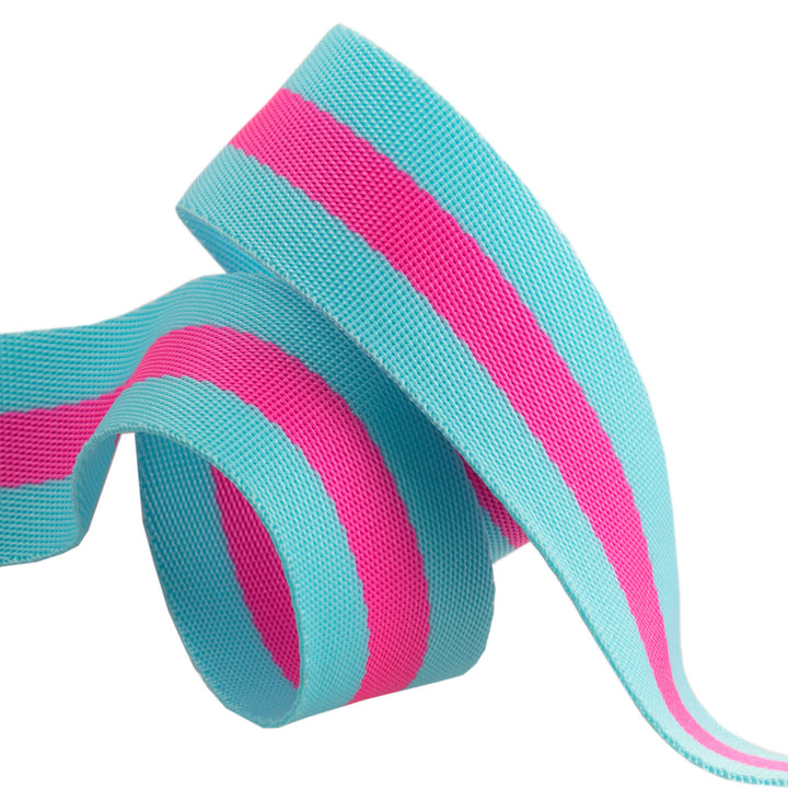 Aqua and Hot Pink - 1.5" Nylon Webbing - by Tula Pink - 16 Yard Spool