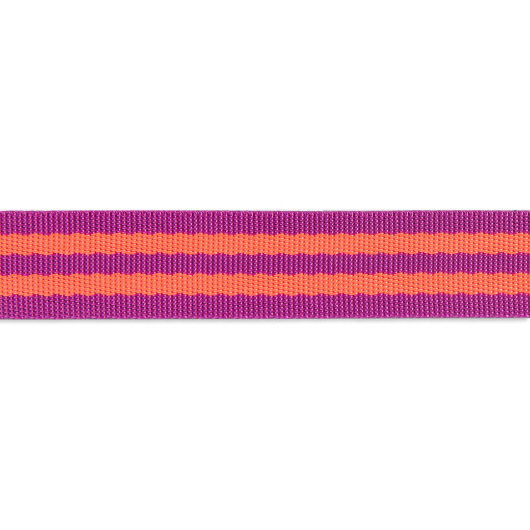 Watermelon/Plum - 1" Nylon Webbing - by Tula Pink - 16 Yard Spool