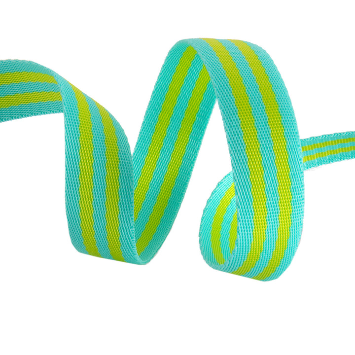 Lime/Turquoise - 1" Nylon Webbing - by Tula Pink - 16 Yard Spool