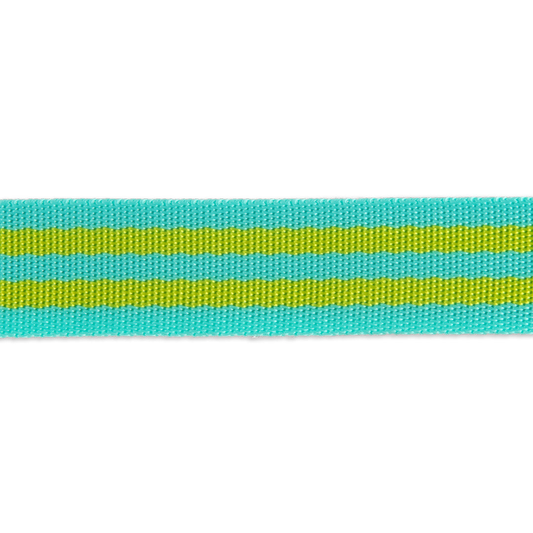 Lime/Turquoise - 1" Nylon Webbing - by Tula Pink - 16 Yard Spool