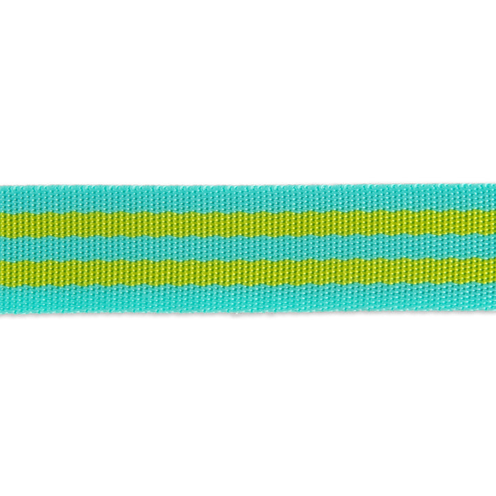Lime/Turquoise - 1" Nylon Webbing - by Tula Pink - 16 Yard Spool