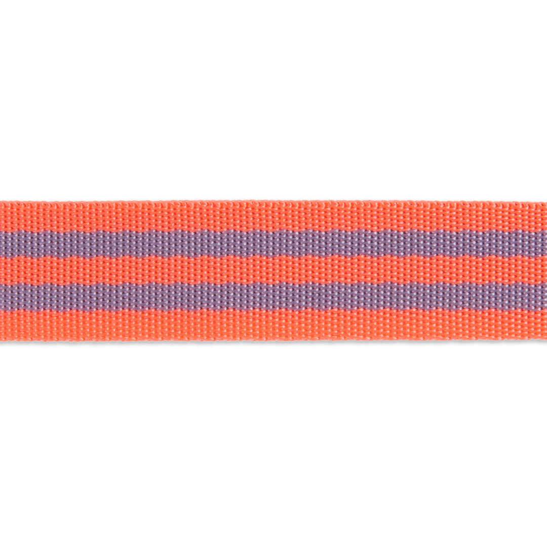 Lavender/Pink - 1" Nylon Webbing - by Tula Pink - 16 Yard Spool