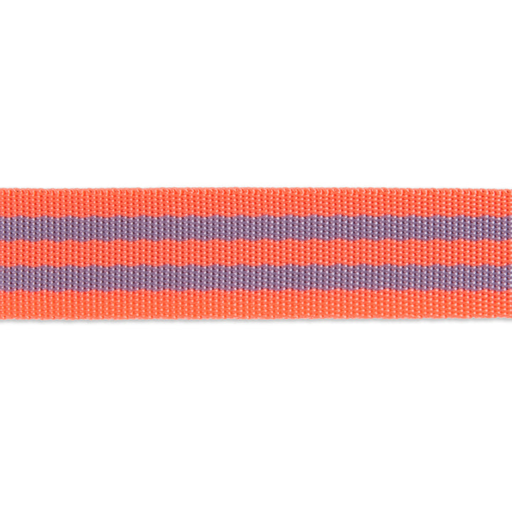 Lavender/Pink - 1" Nylon Webbing - by Tula Pink - 16 Yard Spool