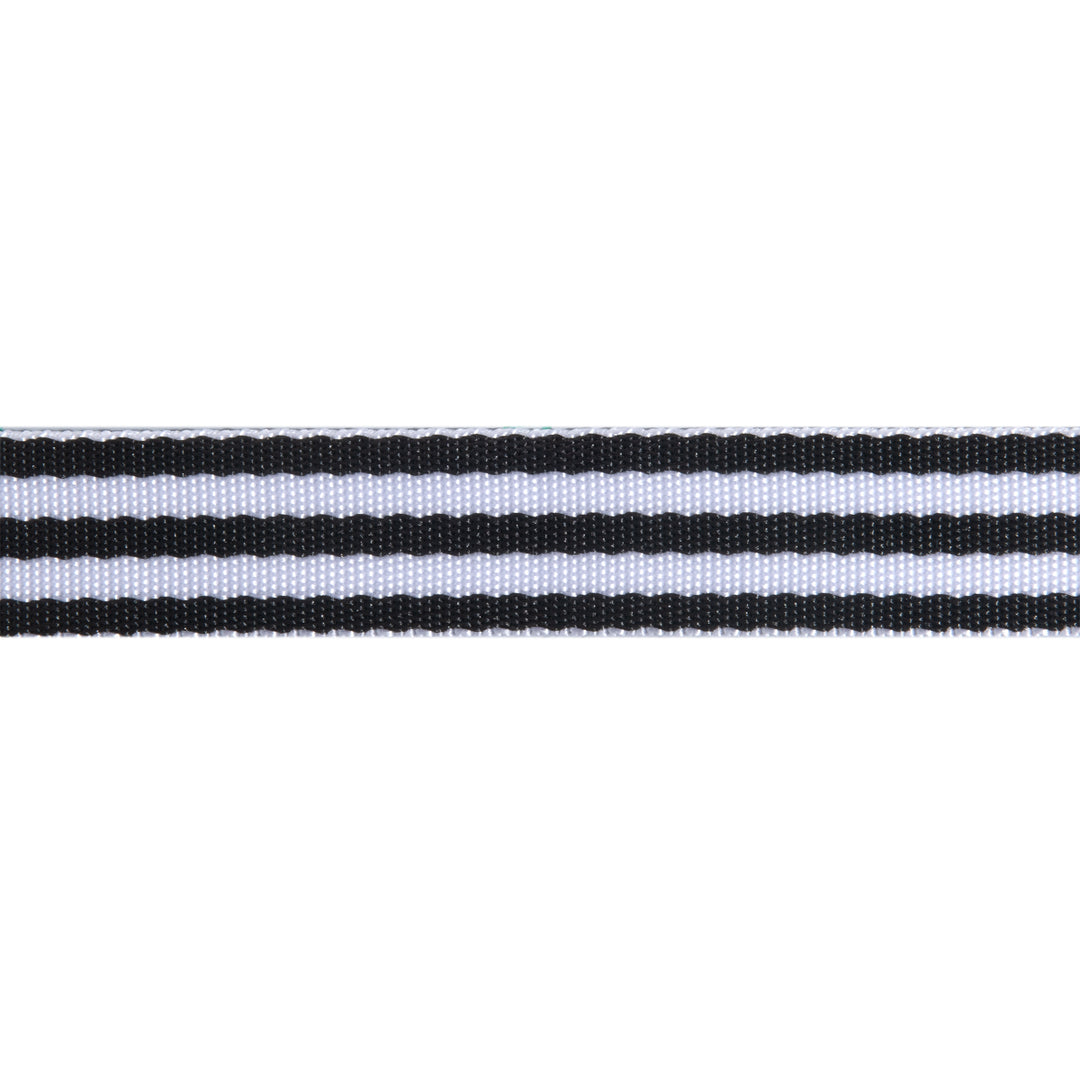 Black/White - 1" Nylon Webbing - by Tula Pink - 16 Yard Spool